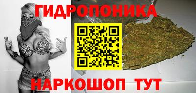 МДПВ Можайск