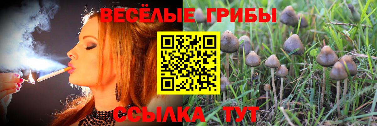 Галлюциногенные грибы мицелий  Вход с VPN  Пенза 