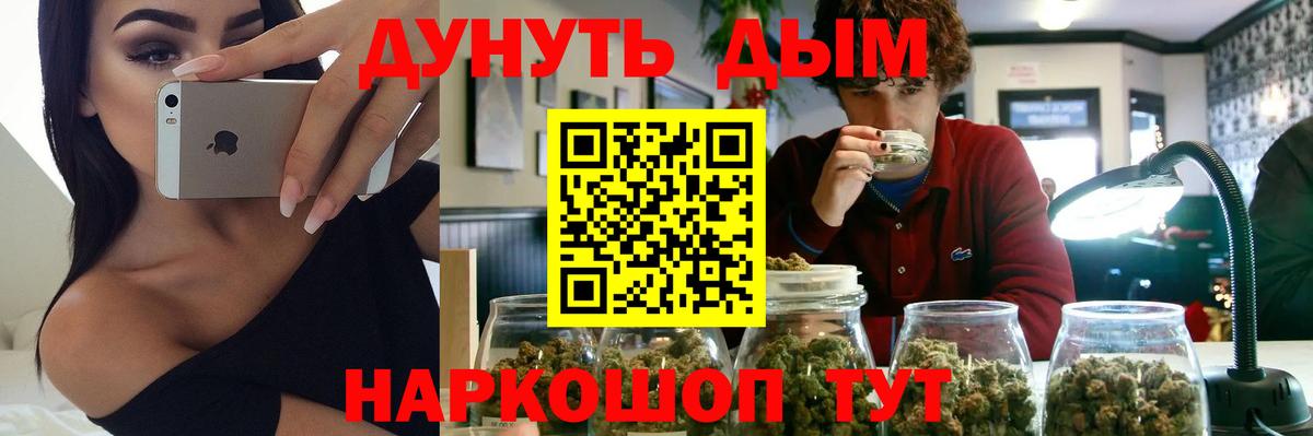 Конопля сатива Пенза
